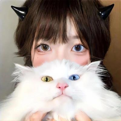 大河之舞：动画大冒险