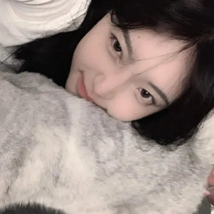 芒果综艺 VIP宝藏季